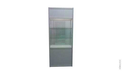 Standing showcase  100x50x250cm 